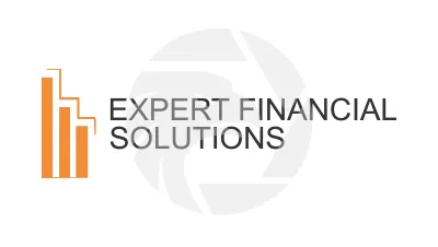 EXPERT FINANCIAL SOLUTIONS