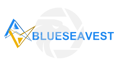 Blue Sea Investment