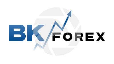 BK Forex 贝壳外汇