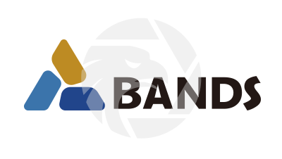 BANDS 磐石金融