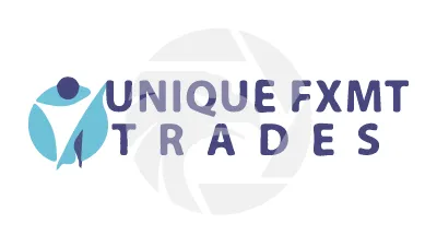  Unique FXMT Trades