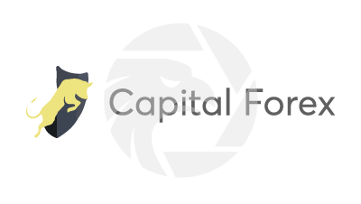 Capital Forex Trade