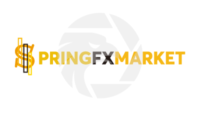 Springfxmarket