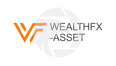 Wealthfx-Asset