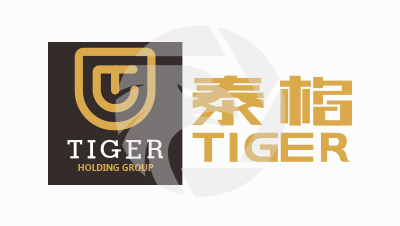 TIGER 泰格外汇