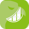 Lime Financial