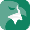 Finansys FX 