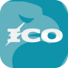 Investcoin Option