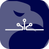 Binaryfxexperts