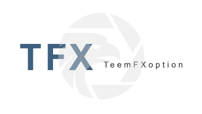TeemFXoption
